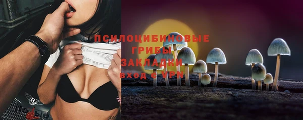 хмурый Алексеевка
