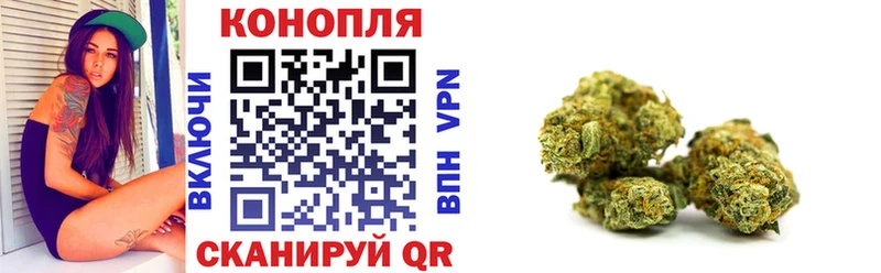 даркнет наркотические препараты OMG как войти Салехард Бошки марихуана SATIVA & INDICA